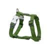 Red Dingo DH-ZZ-GR-ME Dog Harness Classic Green; Medium
