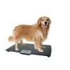 Petpride Large Digital Pet Scale - Black