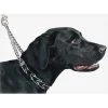 Coastal Pet Products DCPHS5122 Sprenger Pinch Collar