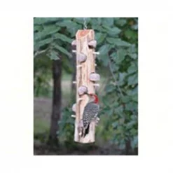 Songbird Essentials SESCS413 6 Plug Suet Log With Perches