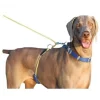 PAWS Aboard 3502 Monster Walker Blue/Yellow Large