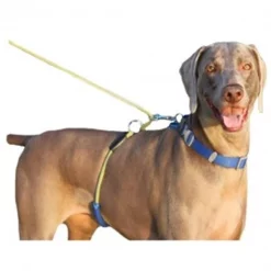 PAWS Aboard 3502 Monster Walker Blue/Yellow Large