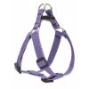 Lupine Pet 3/4" Lilac 20"-30" Step In Hrns