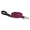 Lupine Pet Lupine 1" Berry 6' Lead