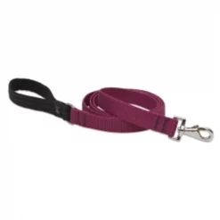 Lupine Pet Lupine 1" Berry 6' Lead