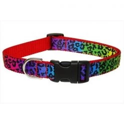 Fly Free Zone,Inc. Leopard Dog Collar; Rainbow - Small
