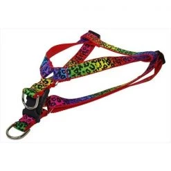 Fly Free Zone,Inc. Leopard Dog Harness; Rainbow - Small