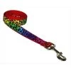 Sassy Dog Wear LEOPARD-RAINBOW4-L 6 ft. Leopard Dog Leash; Rainbow - Large