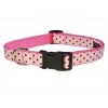 Sassy Dog Wear POLKA DOT-PINK-BROWN2-C Polka Dot Dog Collar; Pink & Brown - Small