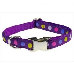 Sassy Dog Wear POLKA DOT-PURPLE-MULTI2-C Dot Dog Collar; Purple & Multi - Small