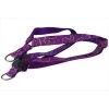 Sassy Dog Wear PRETTY PAISLEY3-H Pretty Paisley Dog Harness; Purple - Medium