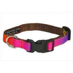 Sassy Dog Wear RAINBOW1-C Dog Collar; Rainbow - Extra Small