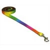 Fly Free Zone,Inc. 4 ft. Dog Leash; Rainbow - Extra Small