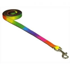Fly Free Zone,Inc. 4 ft. Dog Leash; Rainbow - Extra Small