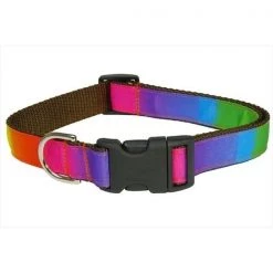 Sassy Dog Wear RAINBOW3-C Dog Collar; Rainbow - Medium