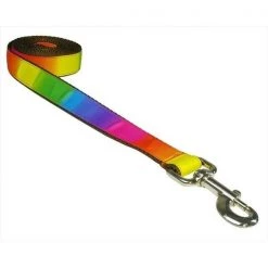 Sassy Dog Wear RAINBOW4-L 6 ft. Dog Leash; Rainbow - Large