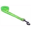 Fly Free Zone,Inc. 4 ft. Reflective Dog Leash; Green - Small