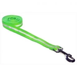Fly Free Zone,Inc. 4 ft. Reflective Dog Leash; Green - Small