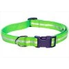 Sassy Dog Wear REFLECTIVE - GREEN3-C Reflective Dog Collar; Green - Large