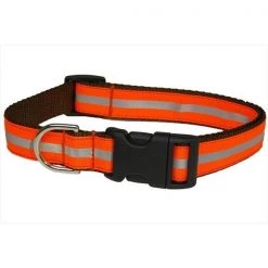 Sassy Dog Wear REFLECTIVE - ORANGE1-C Reflective Dog Collar; Orange - Small