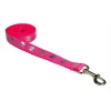 Fly Free Zone,Inc. 6 ft. Reflective Skull Dog Leash; Pink - Medium