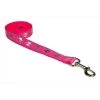 Sassy Dog Wear REFLECTIVE SKULL-PINK4-L 6 ft. Skull Print Dog Leash; Pink - Large