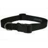 Sassy Dog Wear SOLID BLACK LG-C Nylon Webbing Dog Collar; Black - Large