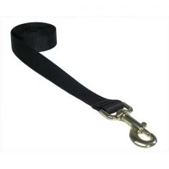 Fly Free Zone,Inc. 6 ft. Nylon Webbing Dog Leash; Black - Large
