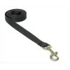 Sassy Dog Wear SOLID BLACK XS-L 4 ft. Nylon Webbing Dog Leash; Black - Extra Small