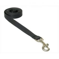 Sassy Dog Wear SOLID BLACK XS-L 4 ft. Nylon Webbing Dog Leash; Black - Extra Small