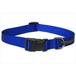 Sassy Dog Wear SOLID BLUE MED-C Nylon Webbing Dog Collar; Blue - Medium
