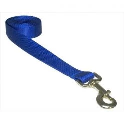 Sassy Dog Wear SOLID BLUE SM-L 4 ft. Nylon Webbing Dog Leash; Blue - Small & Medium