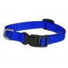 Sassy Dog Wear SOLID BLUE XS-C Nylon Webbing Dog Collar; Blue - Extra Small