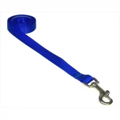 Sassy Dog Wear SOLID BLUE XS-L 4 ft. Nylon Webbing Dog Leash; Blue - Extra Small