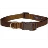 Sassy Dog Wear SOLID BROWN MED-C Nylon Webbing Dog Collar; Brown - Medium