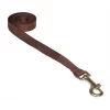 Fly Free Zone,Inc. 4 ft. Nylon Webbing Dog Leash; Brown - Extra Small