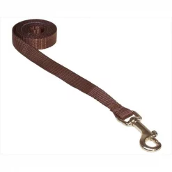 Fly Free Zone,Inc. 4 ft. Nylon Webbing Dog Leash; Brown - Extra Small