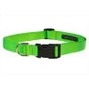 Sassy Dog Wear SOLID NEON GREEN MED-C Nylon Webbing Dog Collar; Neon Green - Medium
