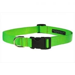 Sassy Dog Wear SOLID NEON GREEN MED-C Nylon Webbing Dog Collar; Neon Green - Medium