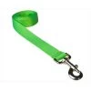 Fly Free Zone,Inc. 6 ft. Nylon Webbing Dog Leash; Neon Green - Medium