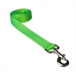 Fly Free Zone,Inc. 6 ft. Nylon Webbing Dog Leash; Neon Green - Medium