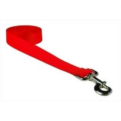 Sassy Dog Wear SOLID NEON ORANGE LG-L 6 ft. Nylon Webbing Dog Leash; Neon Orange - Large