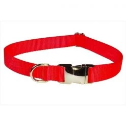 Sassy Dog Wear SOLID NEON ORANGE-METAL BUCKLE MED-C Aluminum Buckles Dog Collar; Neon Orange - Medium