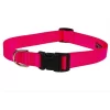 Sassy Dog Wear SOLID NEON PINK LG-C Nylon Webbing Dog Collar; Neon Pink - Large