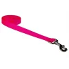 Fly Free Zone,Inc. 6 ft. Nylon Webbing Dog Leash; Neon Pink - Medium