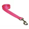 Fly Free Zone,Inc. 6 ft. Nylon Webbing Dog Leash; Pink - Medium