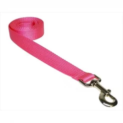 Sassy Dog Wear SOLID PINK MED-L 6 ft. Nylon Webbing Dog Leash; Pink - Medium