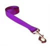 Fly Free Zone,Inc. 6 ft. Nylon Webbing Dog Leash; Purple - Medium