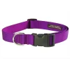 Sassy Dog Wear SOLID PURPLE SM-C Nylon Webbing Dog Collar; Purple - Small