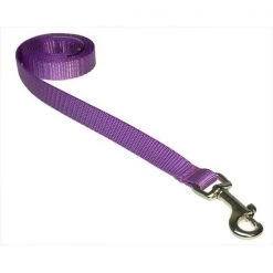 Fly Free Zone,Inc. 4 ft. Nylon Webbing Dog Leash; Purple - Extra Small